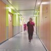 circulation
